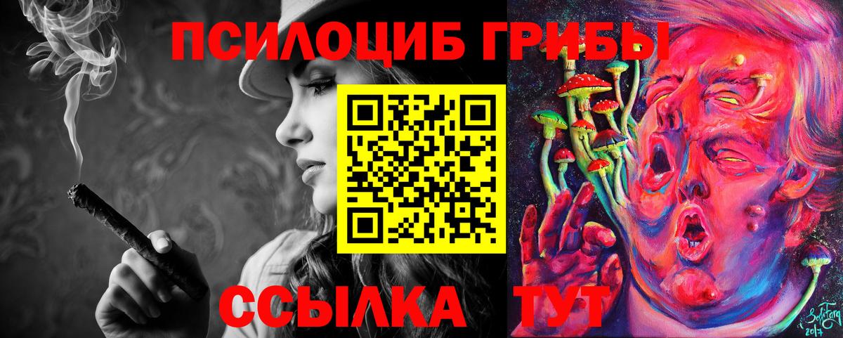 Псилоцибиновые грибы Cubensis  Вход с VPN  Янаул 